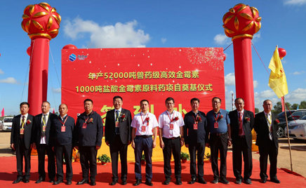 uu52000ҩЧù1000ùҩĿڨ